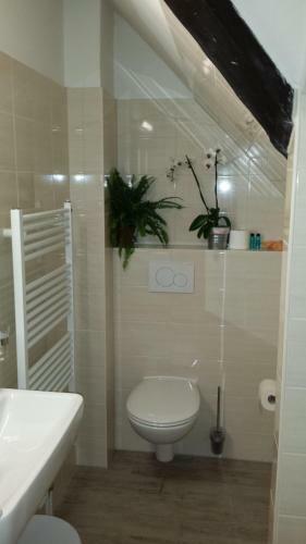 Apartamentos Ferienwohnung-2-im-haus-wildfang