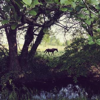 Ver fotos