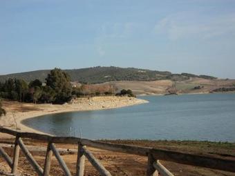 Camping San Jose Del Valle