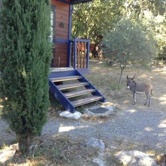 Lodge Suite Nid D'amour Et Spa Privatif