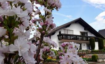 Hostal G�stehaus Braun