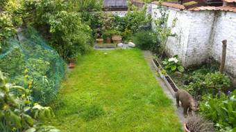 B&B Oostende