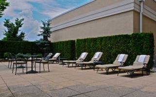Hotel Hilton Garden Inn New York/staten Island