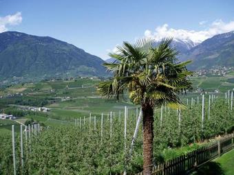 Ver fotos