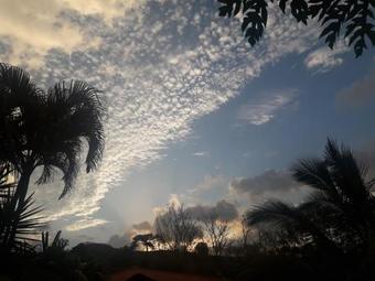 Bed & Breakfast Cabina Las Orquideas