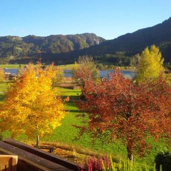 Ver fotos