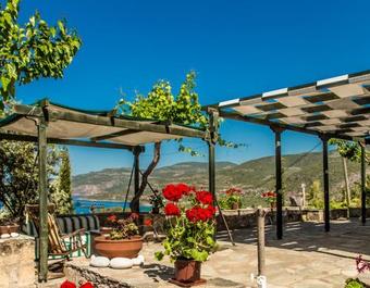 Ver fotos