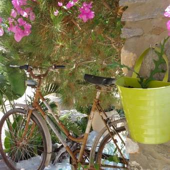 Ver fotos