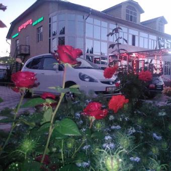 Altamira Hotel