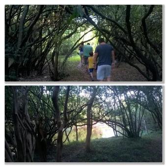 Ver fotos
