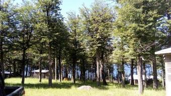 Ver fotos