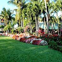 Hotel Best Western Naples Inn & Suites