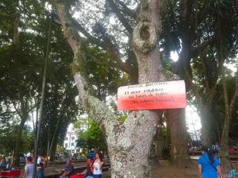 Ver fotos