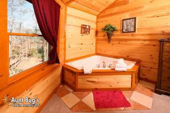 Swimmin With Bears #375 - Three Bedroom Cabin