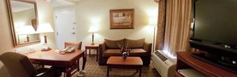 Hotel Hampton Inn & Suites Schertz Tx