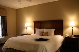 Hotel Hampton Inn & Suites Montgomery-eastchase Al