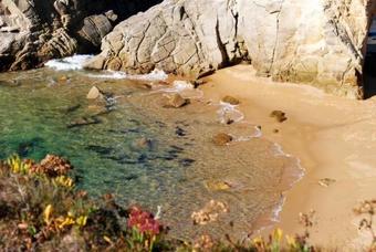 Villa Du Domaine De La Pointe