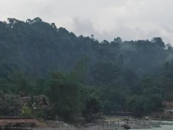 Ver fotos