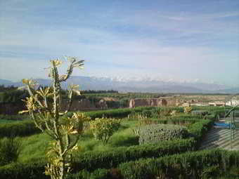 Riad Elaissi