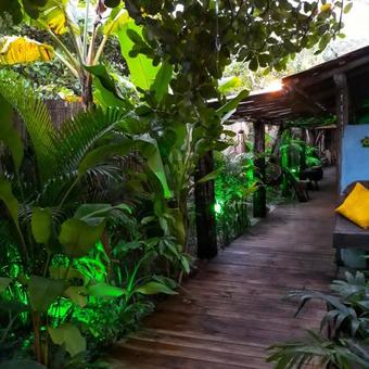 Ver fotos