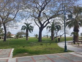 Ver fotos