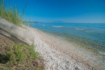 Ver fotos