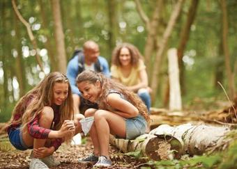 Woodhall Country Park Lodges