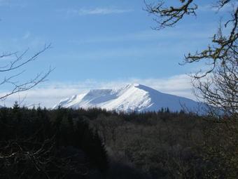 Burnbank Lodges