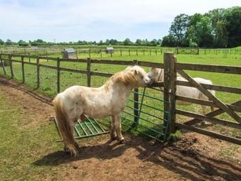 Bull Pen, Lechlade