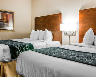 Hotel Quality Inn Auburn Hills
