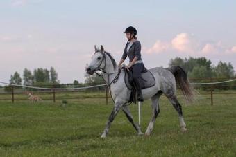 Hostal Double Room Bilje 14318b