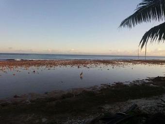 Hostal Fare Manahere Rangiroa