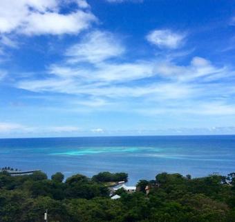 One Fish Two Fish Island Oasis