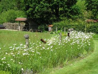 Apartamento Volmolen
