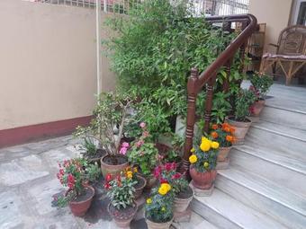 Bed & Breakfast Cozy Home