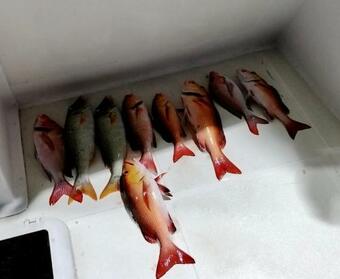 Ocean Breeze Voyager Yacht