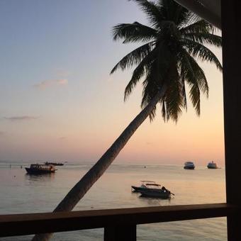 Ver fotos