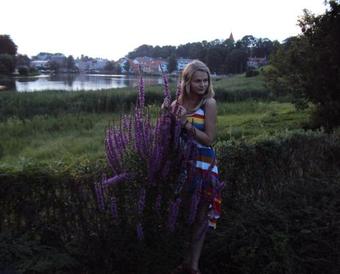 Hotel Saule