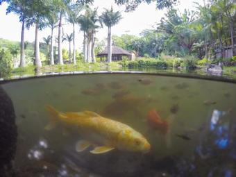 Chazal Ecotourism
