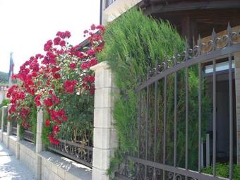 Hostal Villa Amfora
