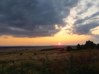 Belvedere Apartments
