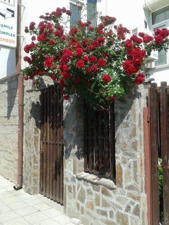 Hostal Bonbon Guest House