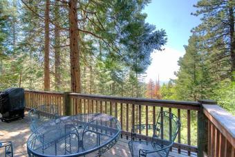 Tree House Lodge