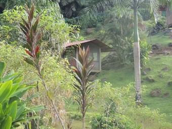 Pacuare River Lodge