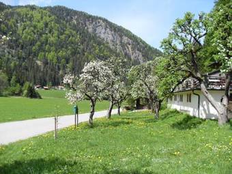 Hostal Gasthaus - Pension - Caf� D�rfl