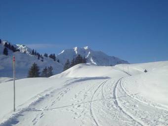 Bed & Breakfast Haus Berghof