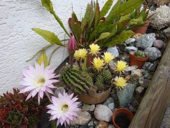 Apartamento Appartment Lerch