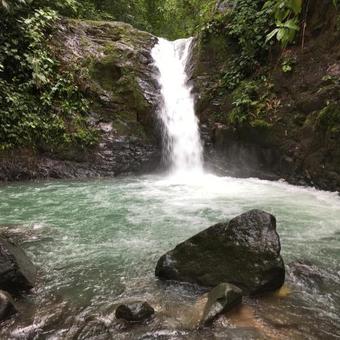 Ver fotos