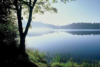 Apartment Liesertal