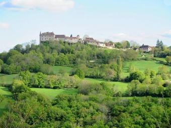 Ferienhaus Mit Pool Loubressac 100s
